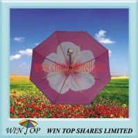 Colorful Full Auto Open Umbrella with Rainbow Frame