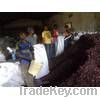 Sell Dried Hibiscus Flower