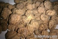 Tiger Nuts (mini, standard and jumbo)