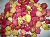 Kola Nut (dried)