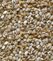 Sesame Seeds