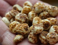 Tiger Nuts (mini, Standard And Jumbo)