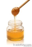Honey