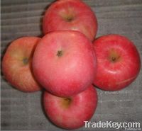 New type Fuji apple Professional supplier