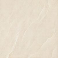 porcelain polished tiles