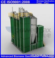 Biomass power plant