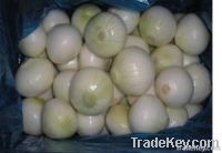 fresh onion/peeled/unpeeled