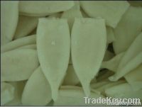 Frozen Todarodes Squid Tubes