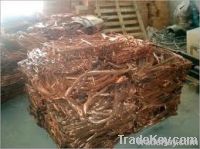 Copper Scraps Suppliers | Copper Scrap Exporters | Copper Scrap Manufacturers | Cheap Copper Scrap | Wholesale Copper Scraps | Discounted Copper Scrap | Bulk Copper Scraps | Copper Scrap Buyer | Import Copper Scrap | Copper Scrap Importers | Copper Scrap