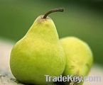 Pear Juice Concentrate