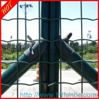 high quality Euro Garden Fence Supplier(manufactory) From China