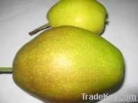 china fresh red fragrant su pear