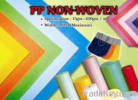 PP Non-Woven