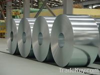 Galvanized Steel Coil