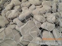 zoo mesh