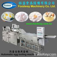 DL-3010 Egg Boiling System