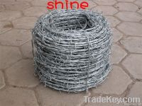 Galvanized Barbed Wire