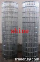 Hot-dipped Galvanized Welded Wire Mesh