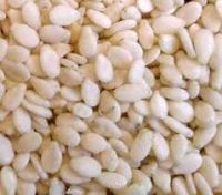 Sesame Seed