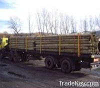 Telecommunication treated wooden pole