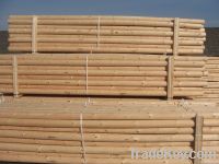 Pine logs, pine stakes