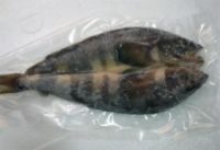 Frozen Salted Butterflied Atka Mackerel