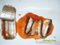 Chinese Canned Sardines In Tomato Sauce