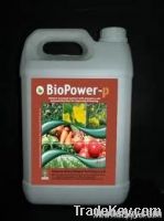 Organic Fertilizer-NPK Fertilizer