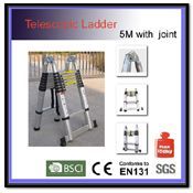 Telescopic ladder