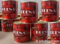 800g Tomato Paste