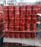 4500g Tomato Paste