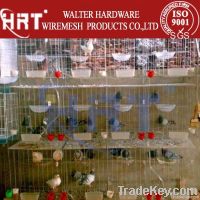 Welded mesh for cages (manufacturer)