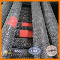 Anping hexagonal netting fabric (Factory Low Price)