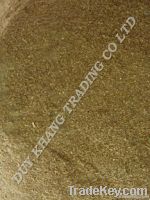 SEAWEED SARRGASSUM