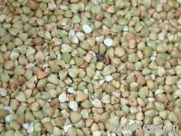 Buckwheat Kernels