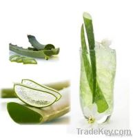 Aloe Vera Drink with Pulp