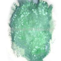 Hollow Polyester Staple Fiber