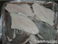 John dory