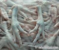  Export Chicken Paw | Chicken Feet Suppliers | Poultry Feet Exporters | Chicken Feets Traders | Processed Chicken Paw Buyers | Frozen Poultry Paw Wholesalers | Low Price Freeze Chicken Paw | Best Buy Chicken Paw | Buy Chicken Paw | Import Chicken Paw | Ch From Netherlands