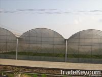 Multi-span Greenhouse  Film