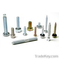 Screws &amp; Bolts