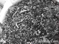 Turnings and Solids