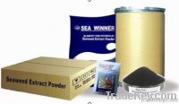 Seaweed extract powder / flake