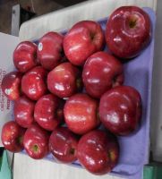 US East Coast Red Delicious Apples