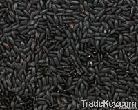 BLACK RICE