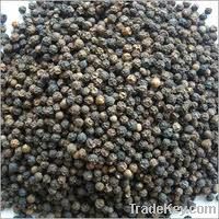 BLACK PEPPER