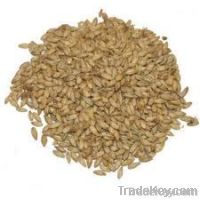 BARLEY MALT