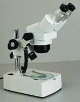 Stereo Microscope