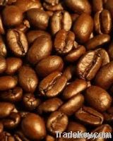 https://cn.tradekey.com/product_view/Export-Green-Coffee-Beans-green-Coffee-Bean-Importer-green-Coffee-Beans-Buyer-buy-Green-Coffee-Beans-green-green-Coffee-Bean-Manufacturer-best-Green-Coffee-Bean-Exporter-low-Price-Green-Coffee-Beans-best-Quality-Green-Coffee-Bean-green-Coffee-Bean-Suppl-3567923.html