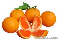 Gannan orange